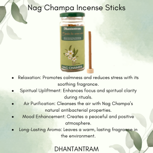 Premium Cow Dung Bambooless Incense Sticks Bundle (four month supply (120) pieces supply with stand)