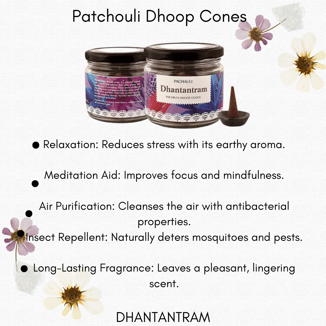 Patchouli Premium Cow dung Dhoop Cone (50 pieces supply with stand)