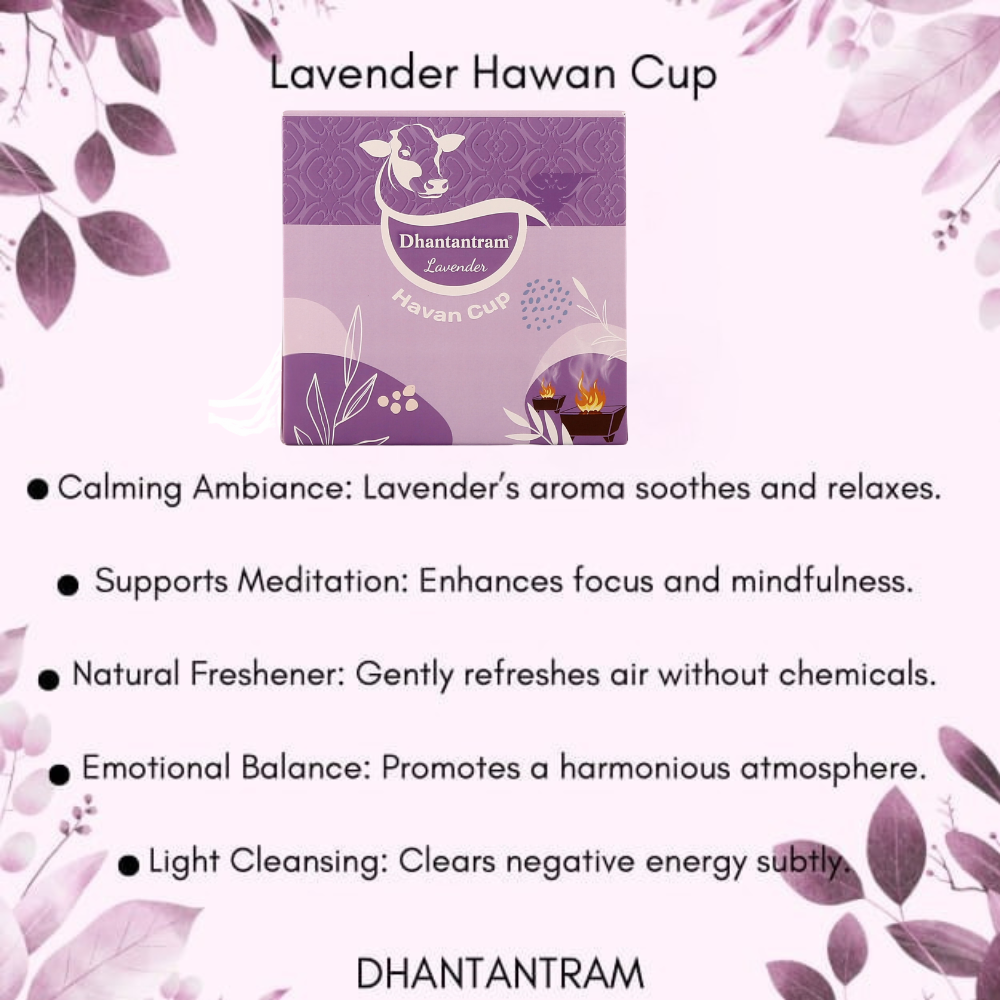 Premium Cow Dung Lavender Hawan Cup (15 pieces supply with stand)