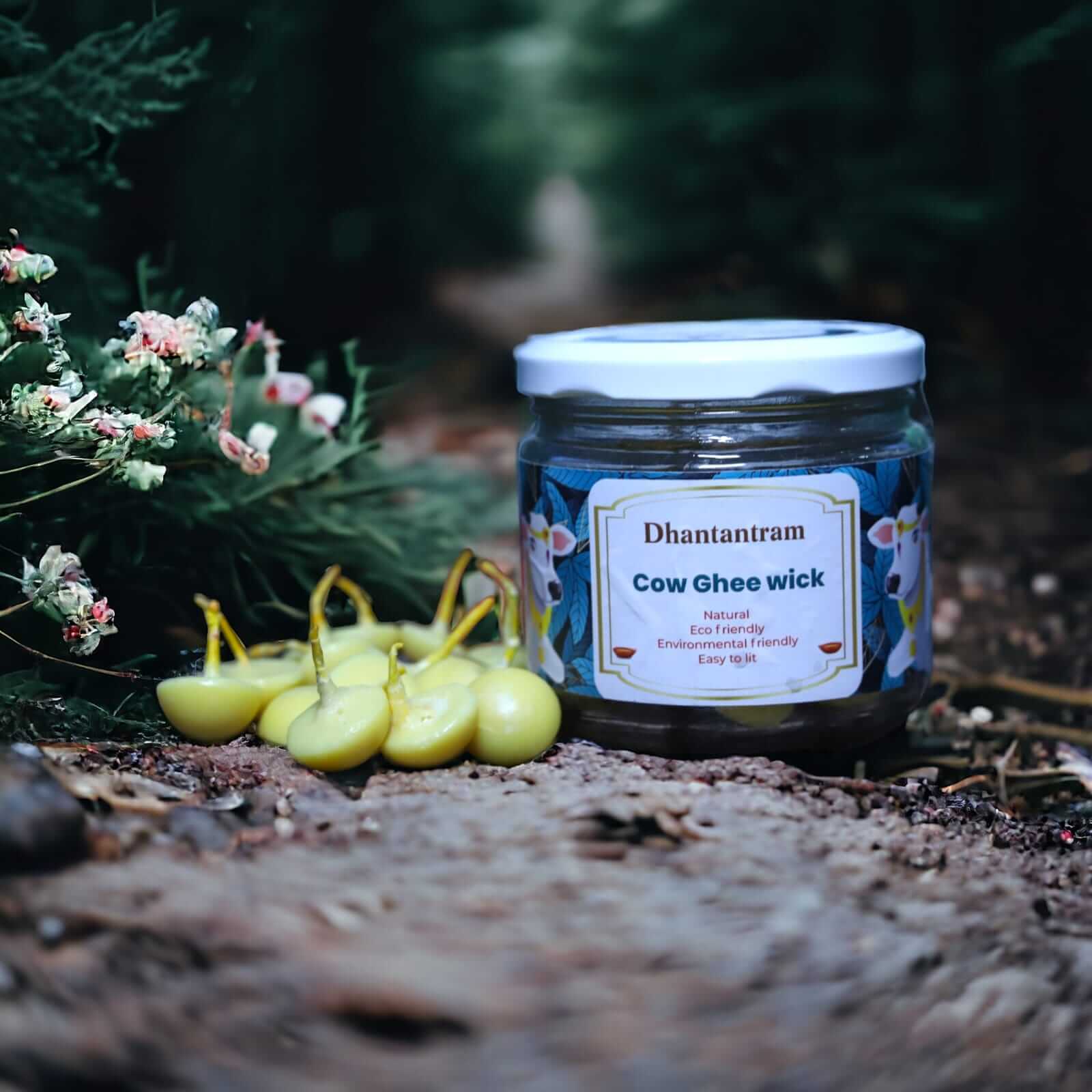Dhantantram Premium Cow Ghee Wick Dhantantram