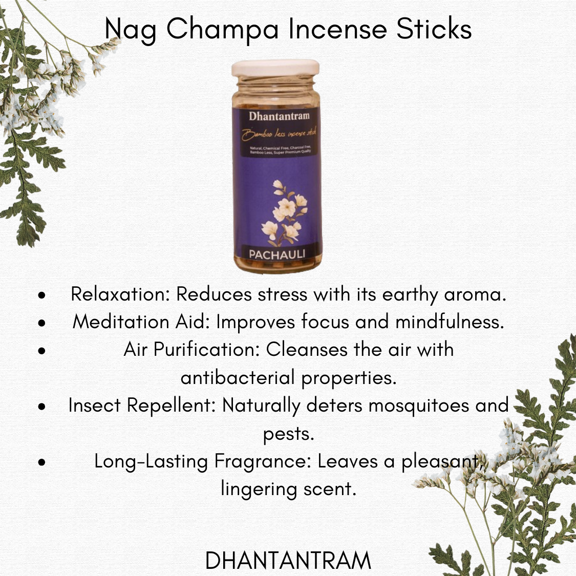 Premium Cow Dung Pachauli Bambooless Incense Sticks  (30 pieces supply with stand)