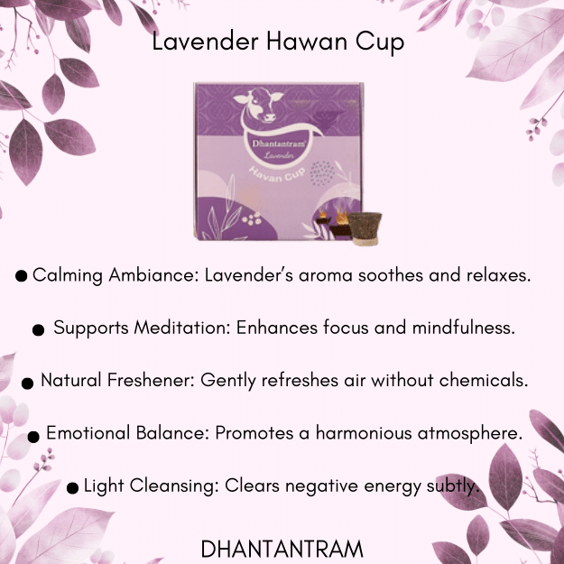 Premium Cow Dung Lavender Hawan Cup  (15 pieces supply with stand)